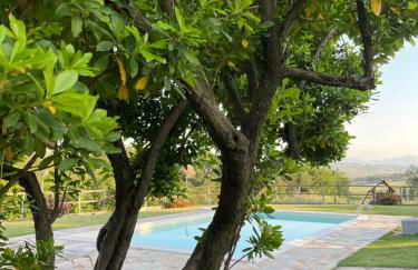 Montenovo Country House - Foto 22