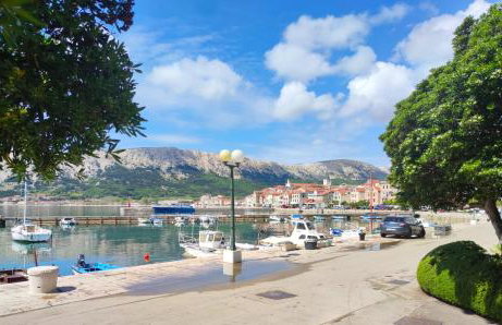 Margarita - Photo 62