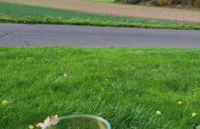 kirchheim 119 - Photo 55