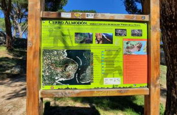 Naturaleza en el pantano de San Juan - Foto 34