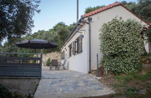 Fofi's House - Foto 27