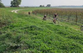 LunaSole Casa vacanza mare - Photo 41