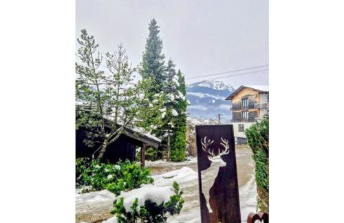 Alpenherz Obermaiselstein - Photo 1