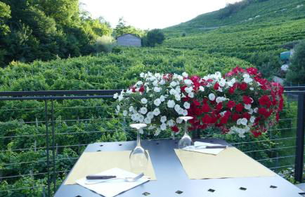 Agriturismo Vigneto Vecio - Foto 21