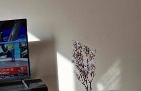 Kofinaki apartment 2 - Tychero Evros - Foto 7