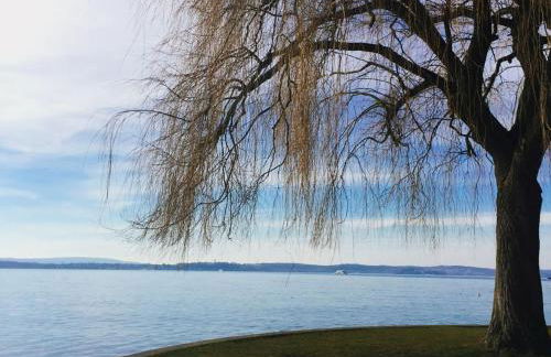 Blick ins Grüne - Foto 30