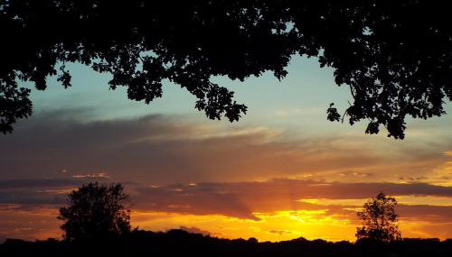 wingate cottage - Foto 5