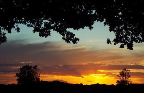 wingate cottage - Foto 5