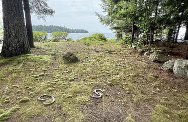 PARADISE POINT LIMIT 10 cottage - Foto 38