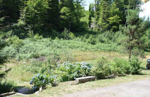 Gîte Au Pradin échappée nature et détente spa - Foto 47