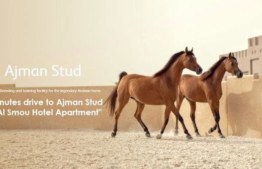 Al Smou Hotel Apartments - Photo 56