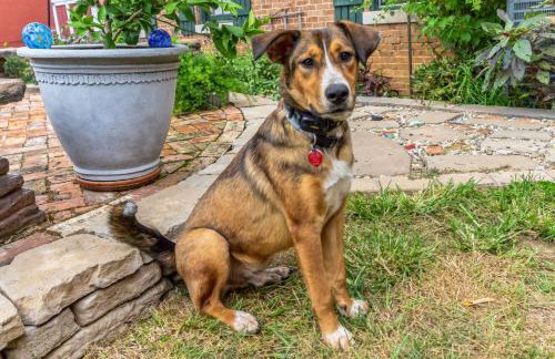 Carroll Cottage at Main Street Bed & Breakfast - Foto 32