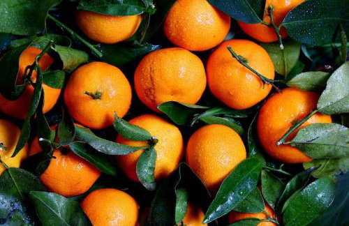 Veranda with Endless View among Orange Trees - Foto 19