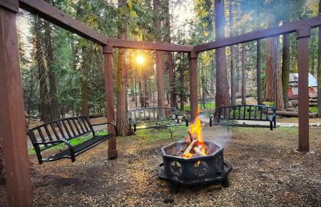 Sequoia Splendor, inside Kings Canyon NP by Visitors Center - Foto 1