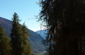 Residence Alice - Foto 63