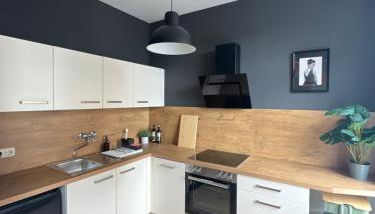 K2-Project - Kleines Loft beim Schlossteich - Foto 5, stove, dishwasher