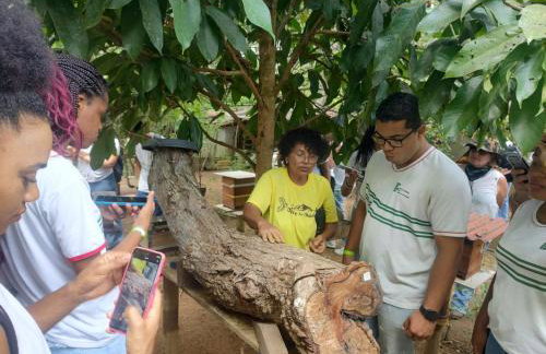 Vale das Rainhas - Photo 19