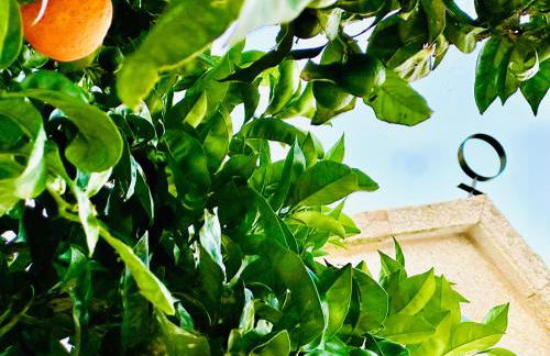 ÁTICO BOJ - Terraza con jardín & Hórreo Chill con vistas al mar - Foto 39