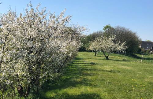 Ferienwohnungen Am Mühlenhügel - Photo 56