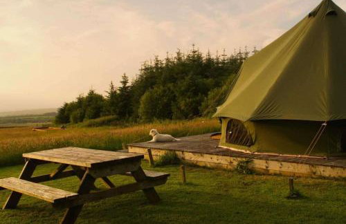 Glamping Pod - Sleeps 2 - Pets - Parking - Wifi - Foto 1