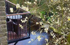 Millrace Cottage - Foto 24