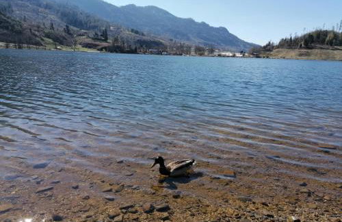 Ca' dei Cigni - Foto 22