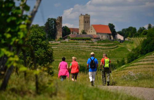Villa in Seenahe Badesee Ehmetsklinge - Foto 44