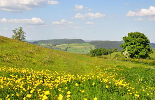 Rockhill Farmhouse - Foto 43