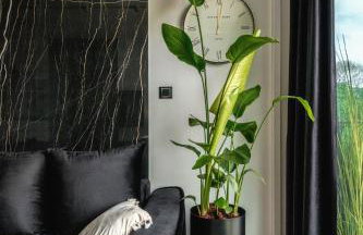 ARGENTI SPA UNIA RESIDENCE - Foto 18