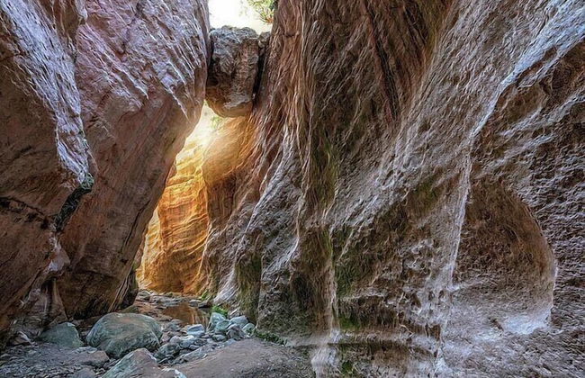 Lazaros Stonehouse - Foto 38