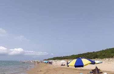 Just Constructed! - Foto 37