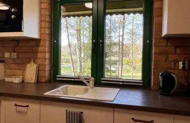 Raj na Kaszubach - Pałubicka Bór - Domy na Wynajem - Foto 76