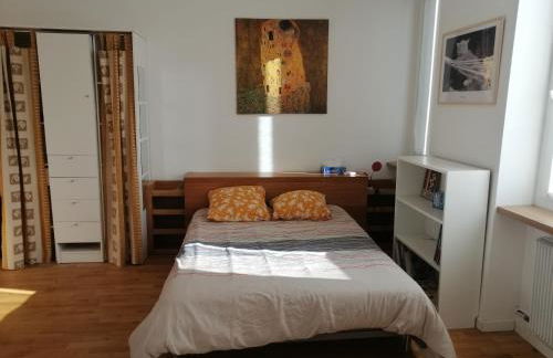 Studio dans maison de ville - Foto 8