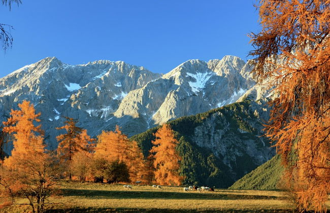 Cozy Apartment in Obsteig near Ski Area - Foto 21