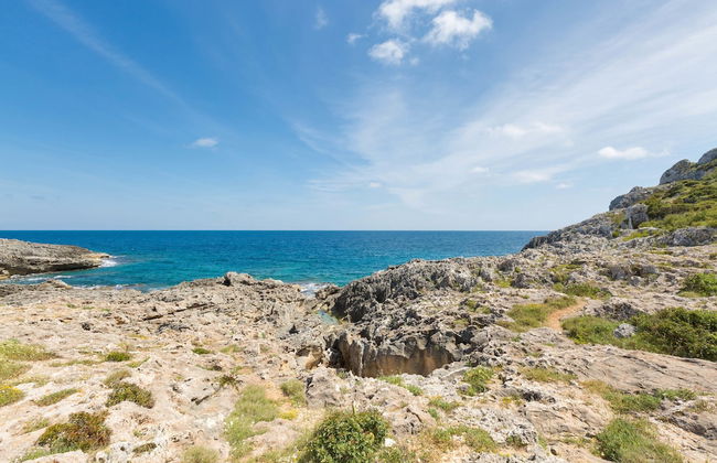 Il Giardino delle Cipolliane - Foto 66