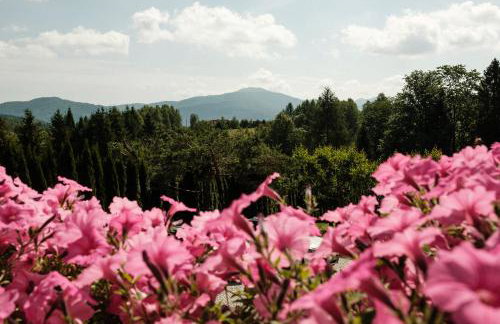 Dom Malowany - Domki - Foto 41