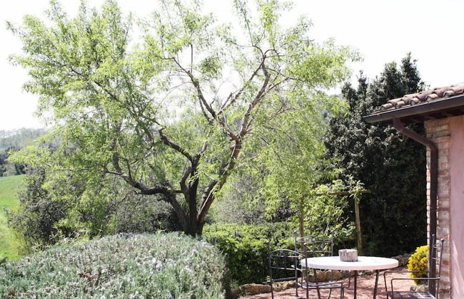 Verdidea - Podere della Bruciata - Foto 41