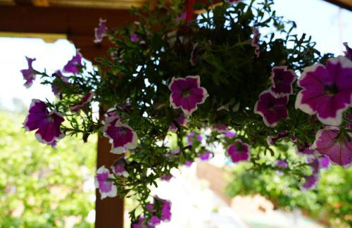 4our seasons 2 - Private Pool - Foto 21