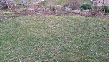 Südhang - Foto 4, Garden