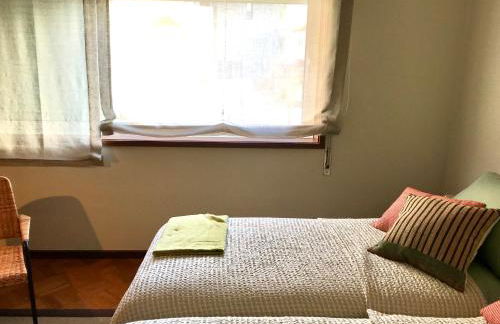 Estrelícia - Foto 16