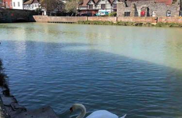 Quirky 1 bedroom barn on the river in Arundel - Foto 5