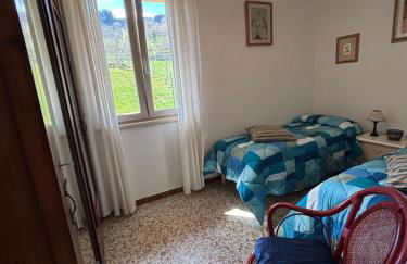 Voce del Casentino - Foto 16