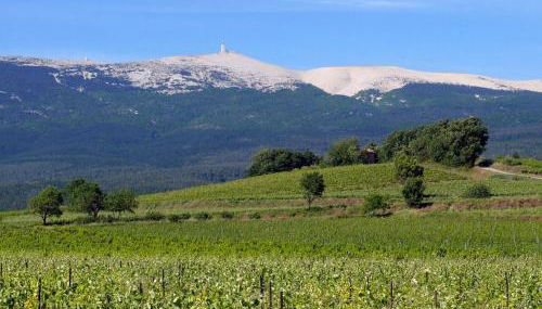 Petit gite de Provence - Foto 4