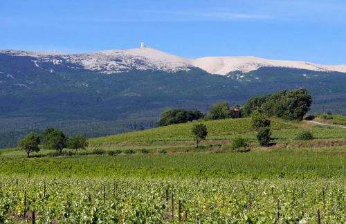 Un petit coin de Paradis - Foto 6