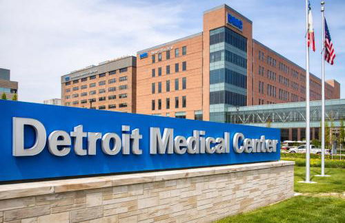 Dwntwn Detroit Wlk to DMC Arena WSU FordField - Photo 34