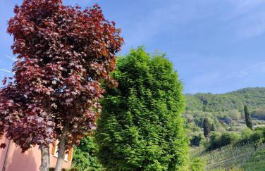 Casa Vacanze Monte Villa - Foto 27