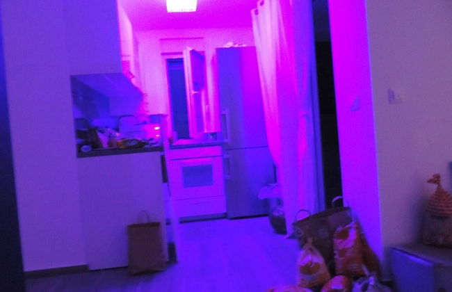 Luxurious 2-bed Appartment in Mandre With Pool - Foto 12