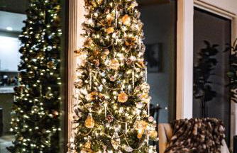 Gruene Daze Chalet - Stylish Aframe - Escape the Ordinary - Foto 49