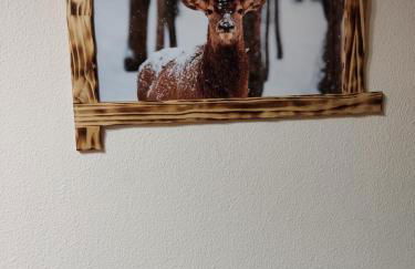 LES FONTANILLES odeillo chalet 60 WIFI & PARKING gratuit exposé plein sud & plein pied , draps & serviettes de toilettes non inclus, sabanas y toallas no incluidos - Foto 16