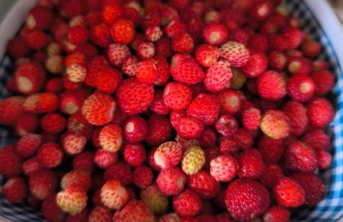 La Casa de la Fuente - Foto 21